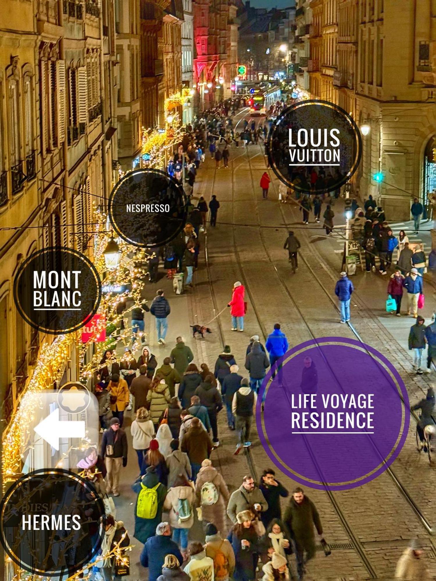 Life Voyage Residence & Spa - Strasbourg'S City Center Luxury Experience Dış mekan fotoğraf